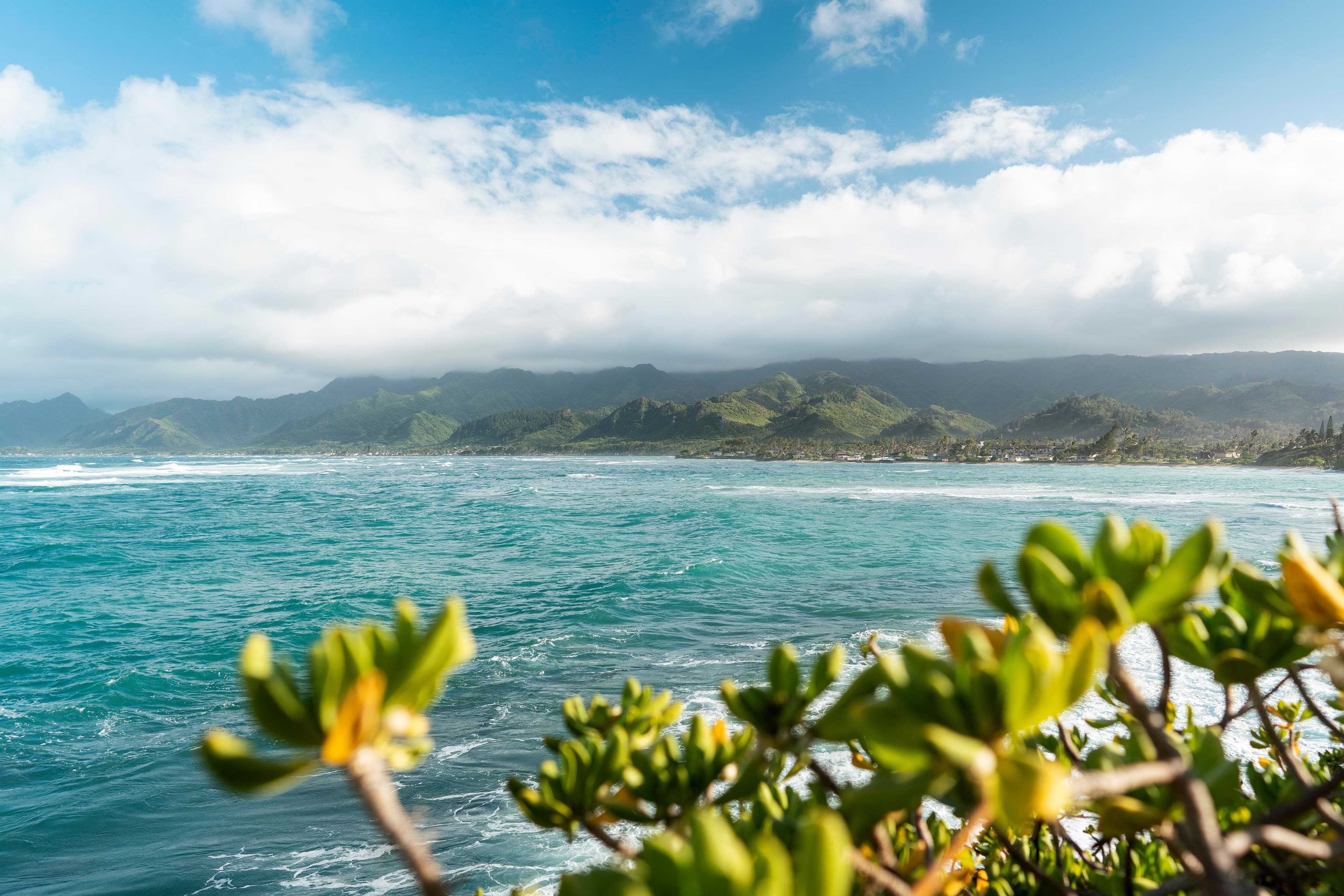 Adventure Days, Lagoon Days, Your Ratio.