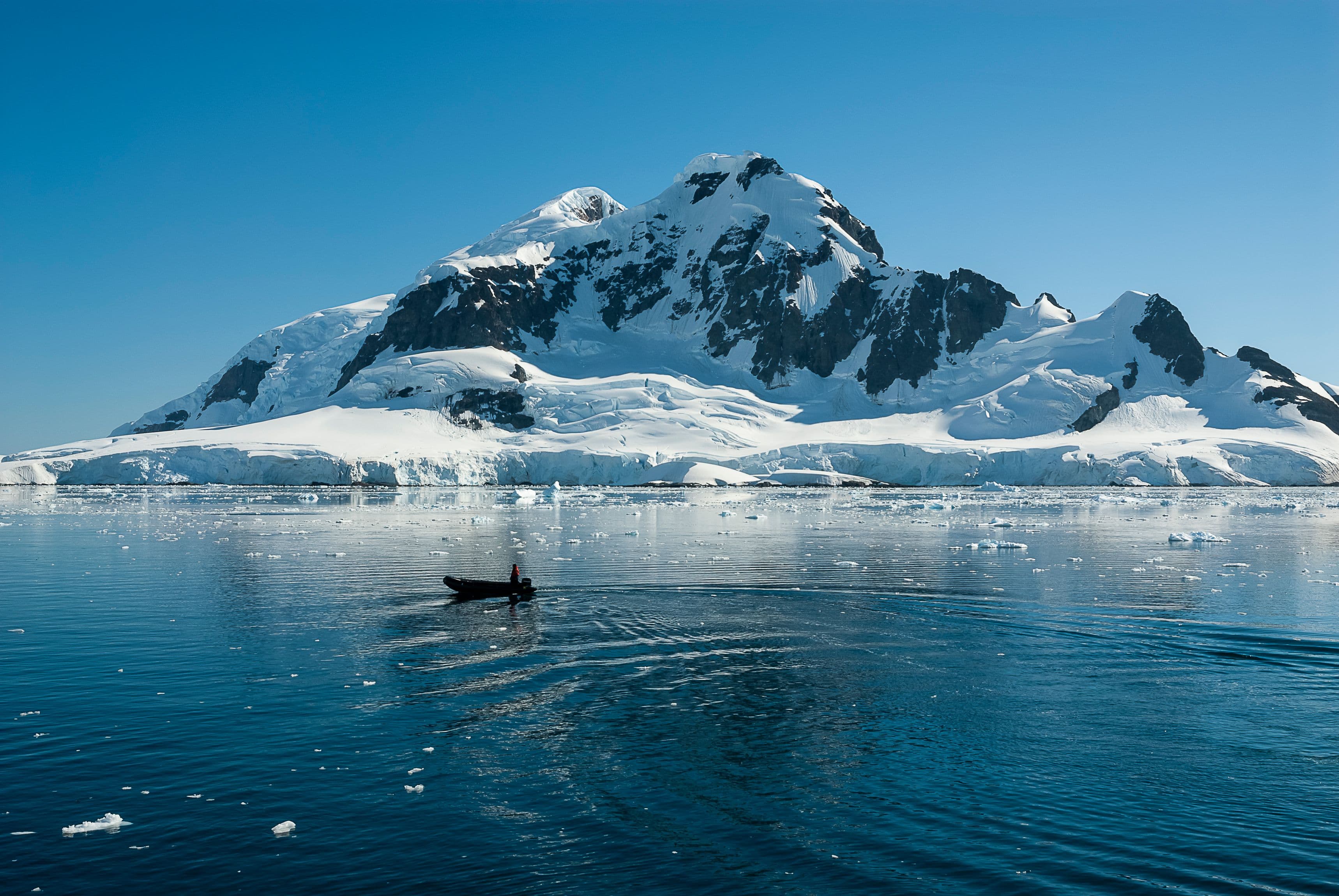 The Fortune Expedition