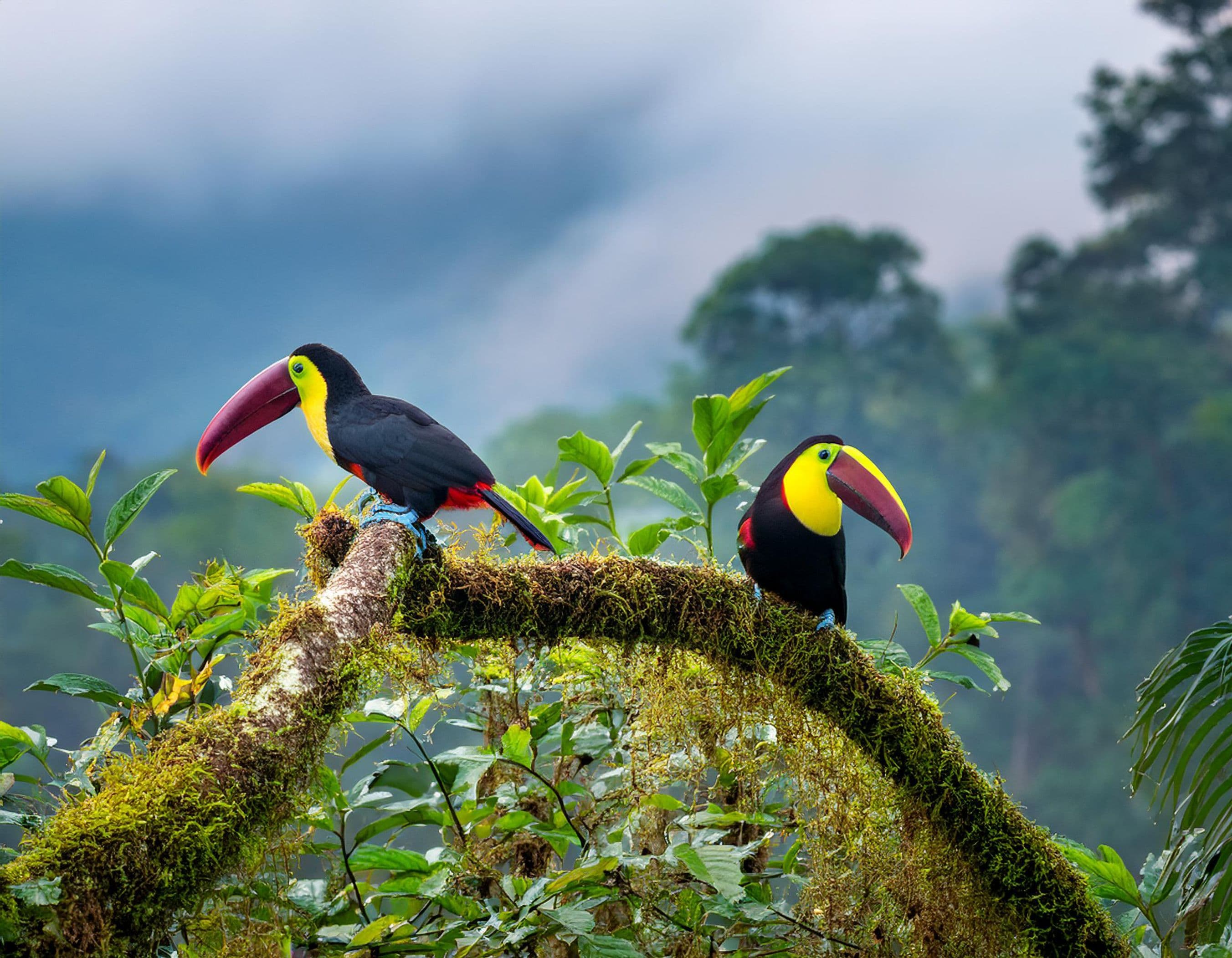 Costa Rica