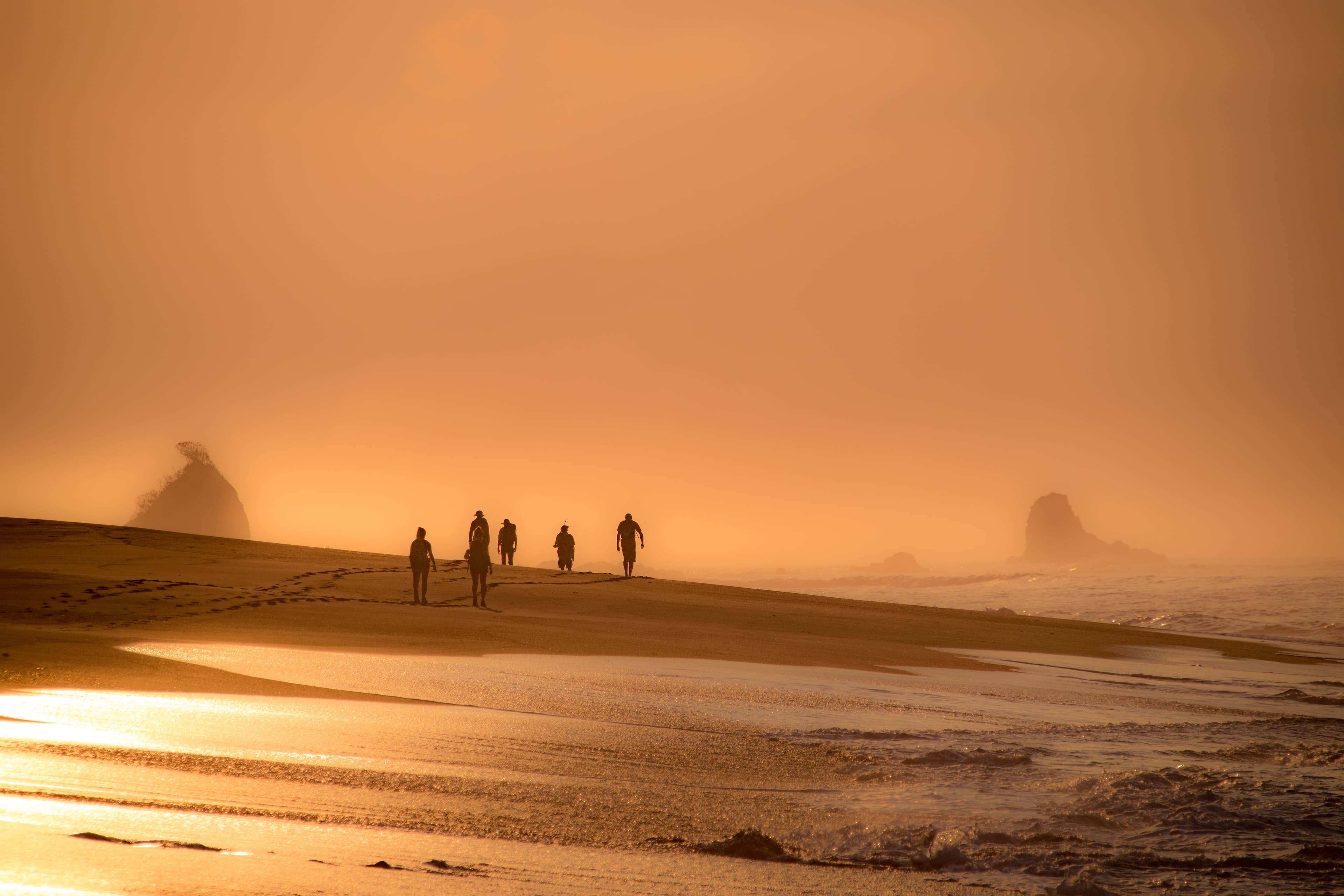 The Skeleton Coast