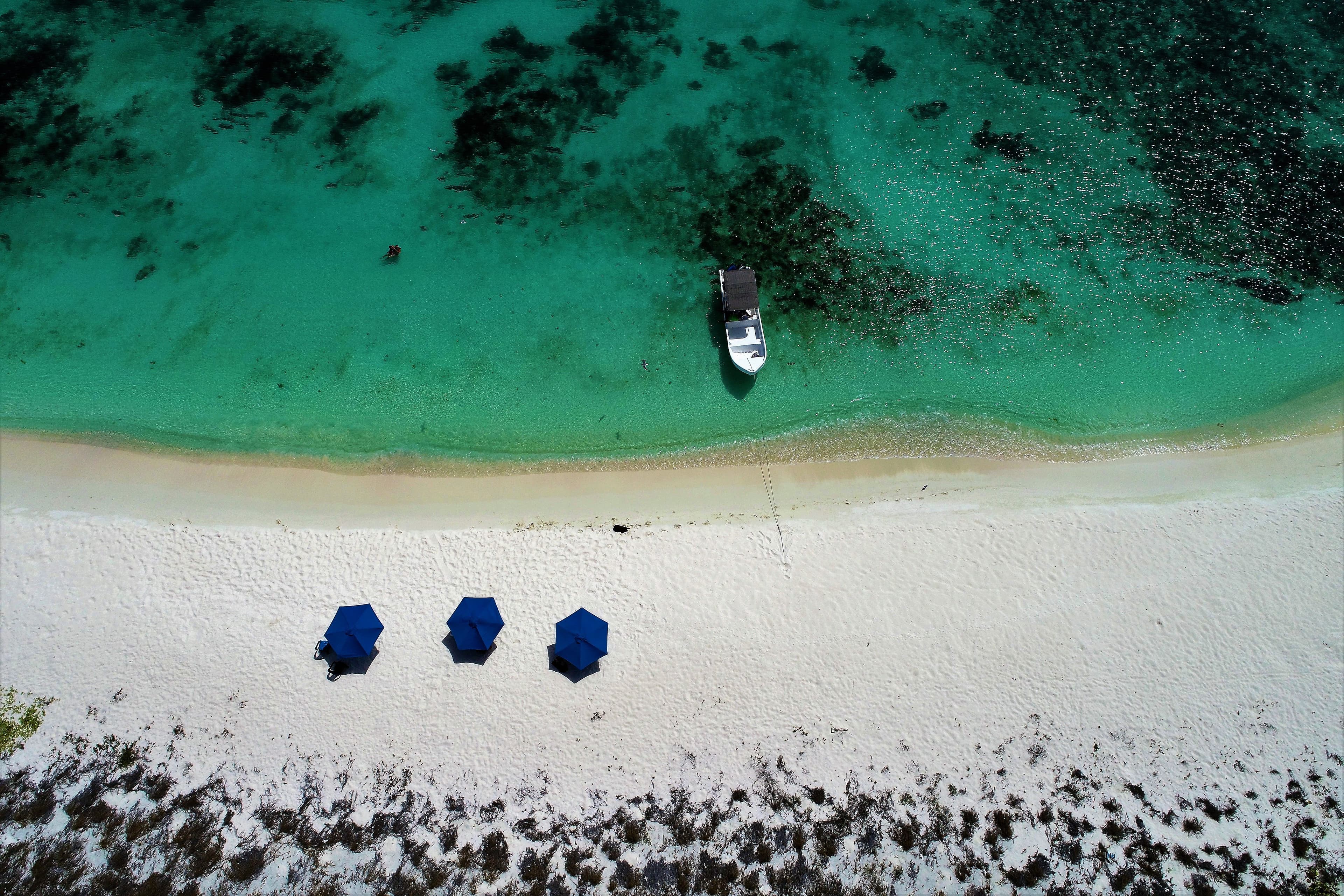 Grand Bahama and Andros
