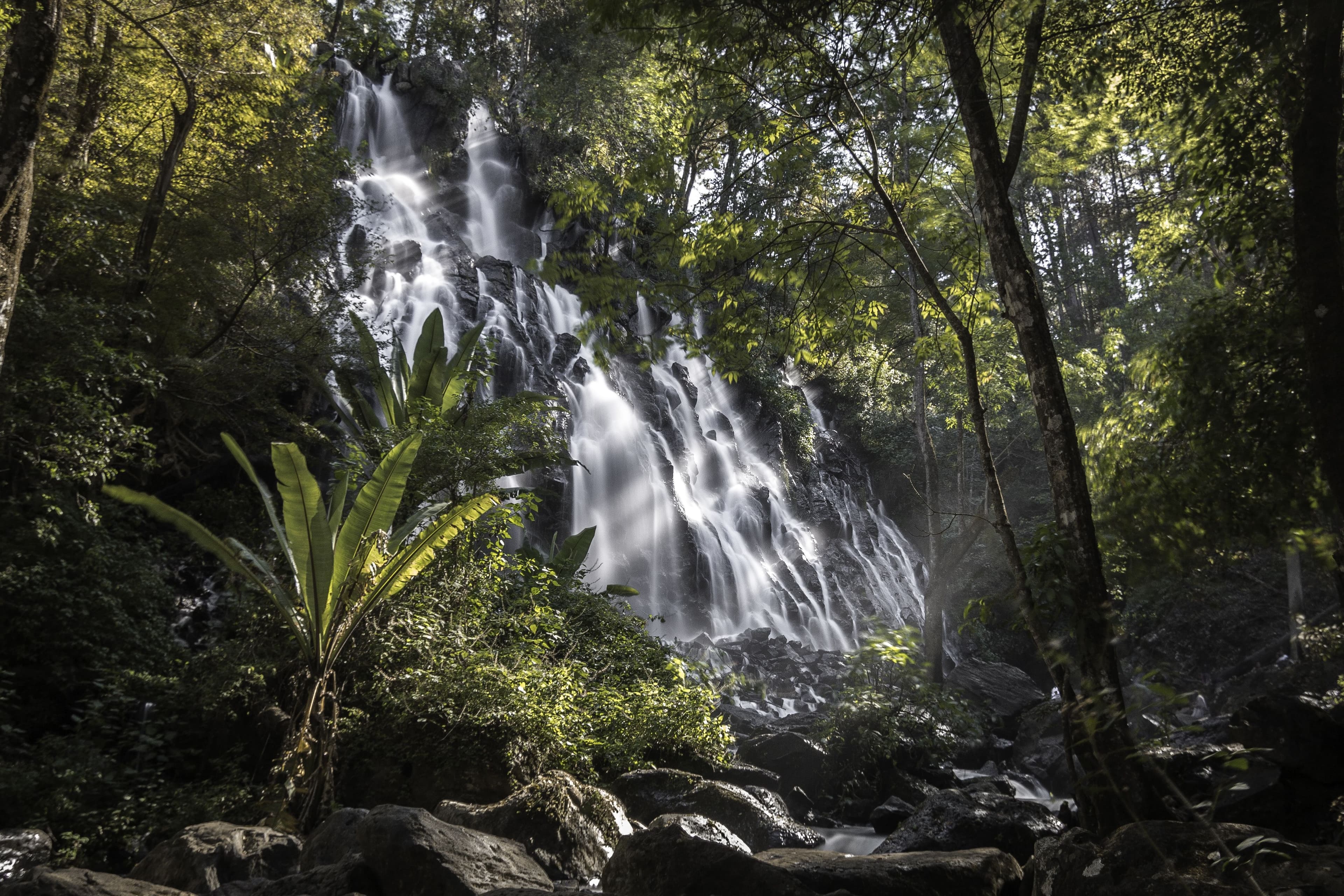 Kibale Forest