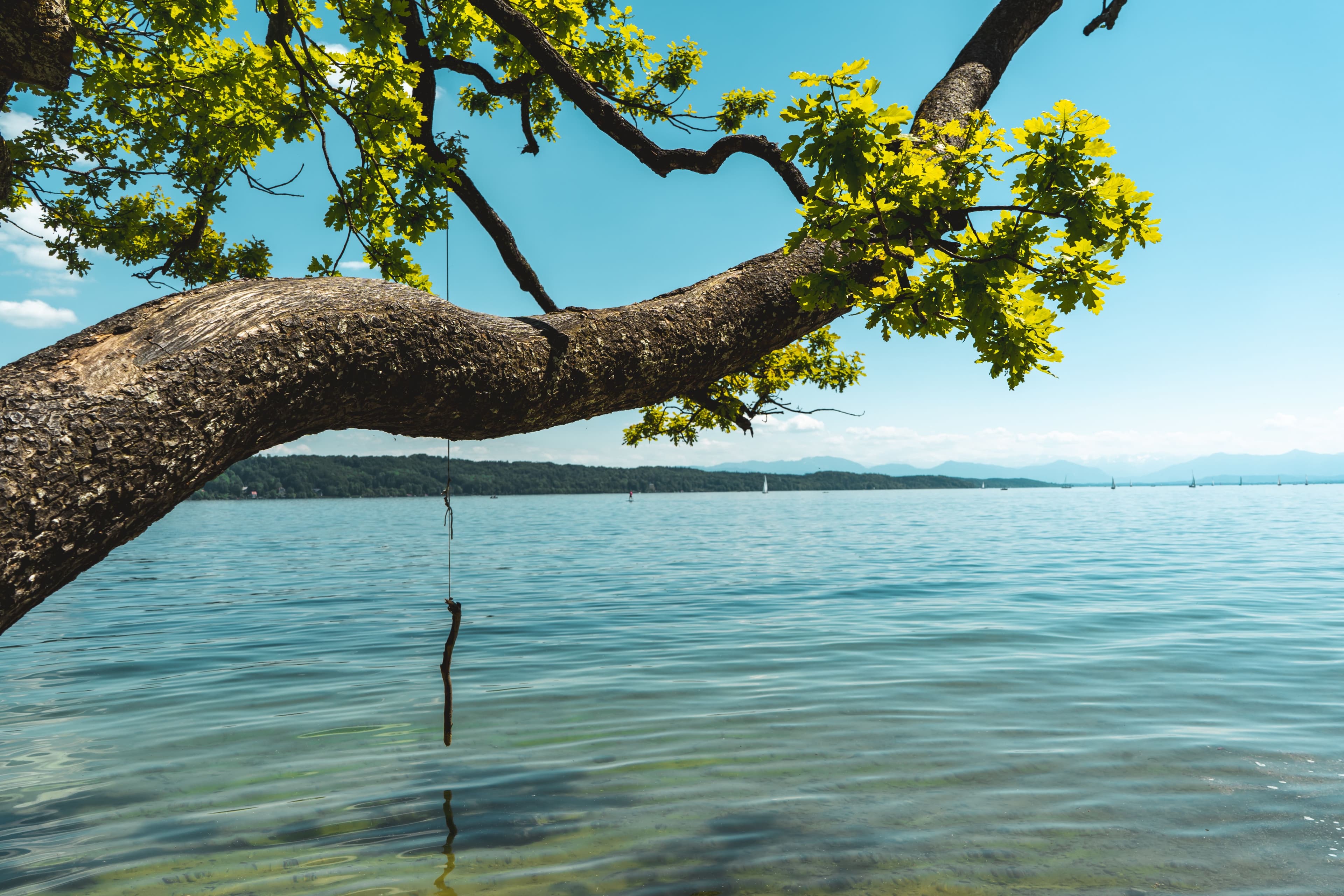 Lake Malawi