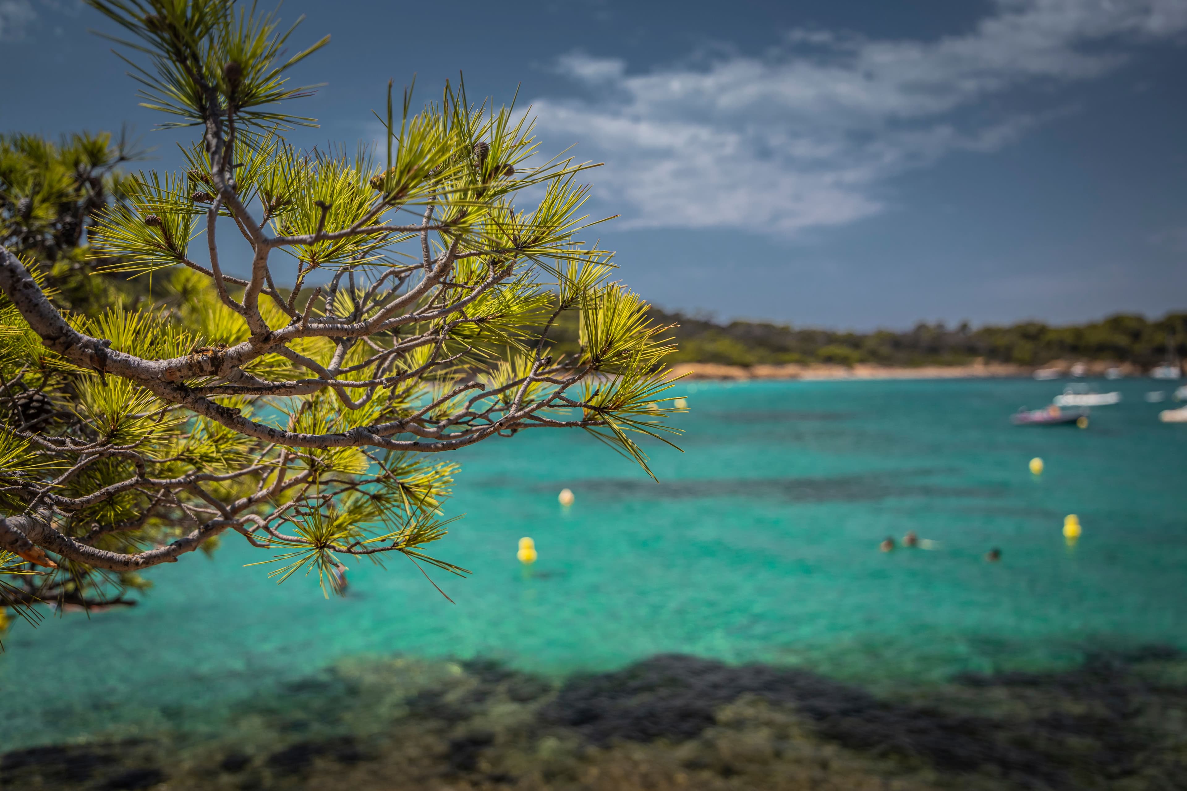 Meads Bay