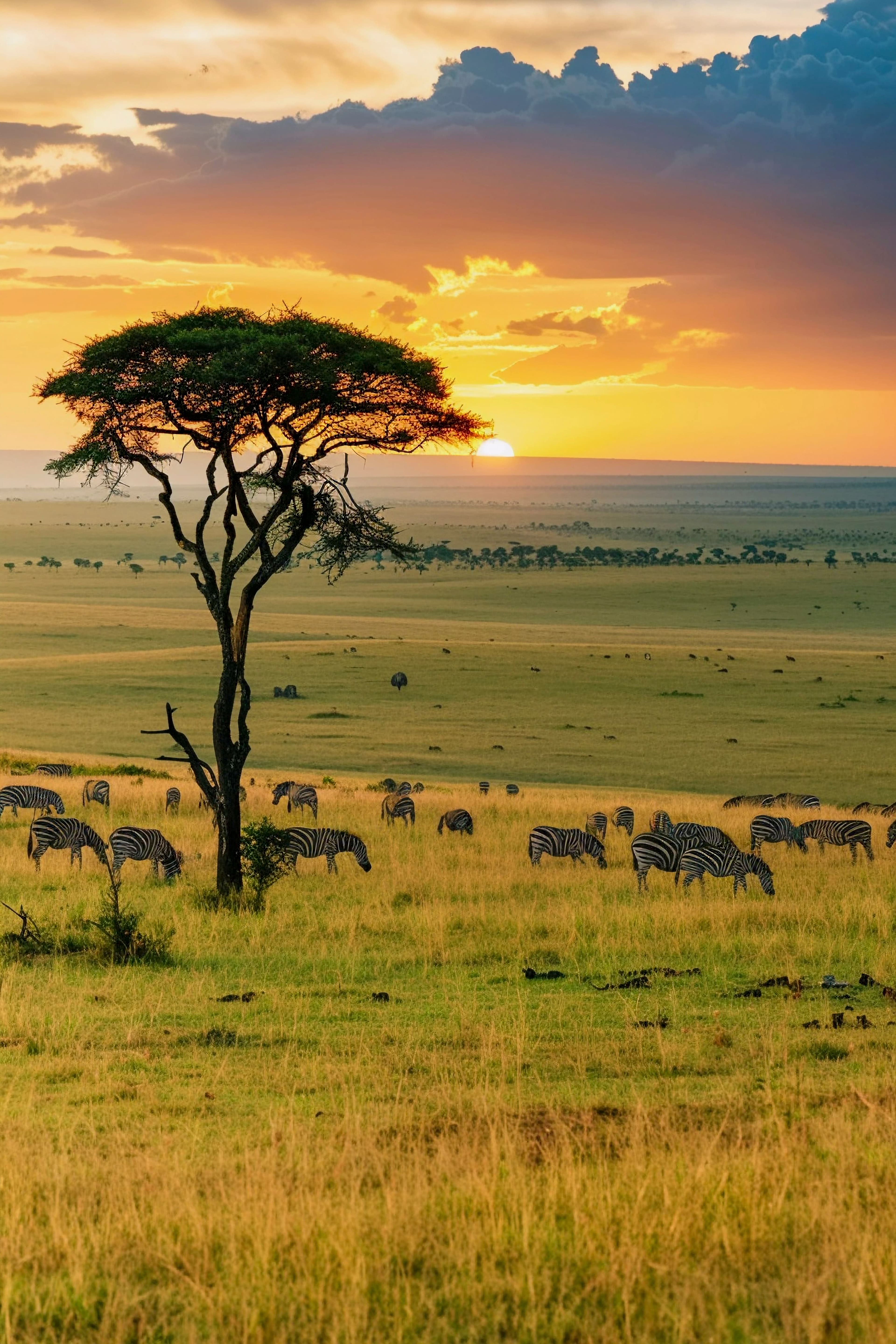 Nairobi