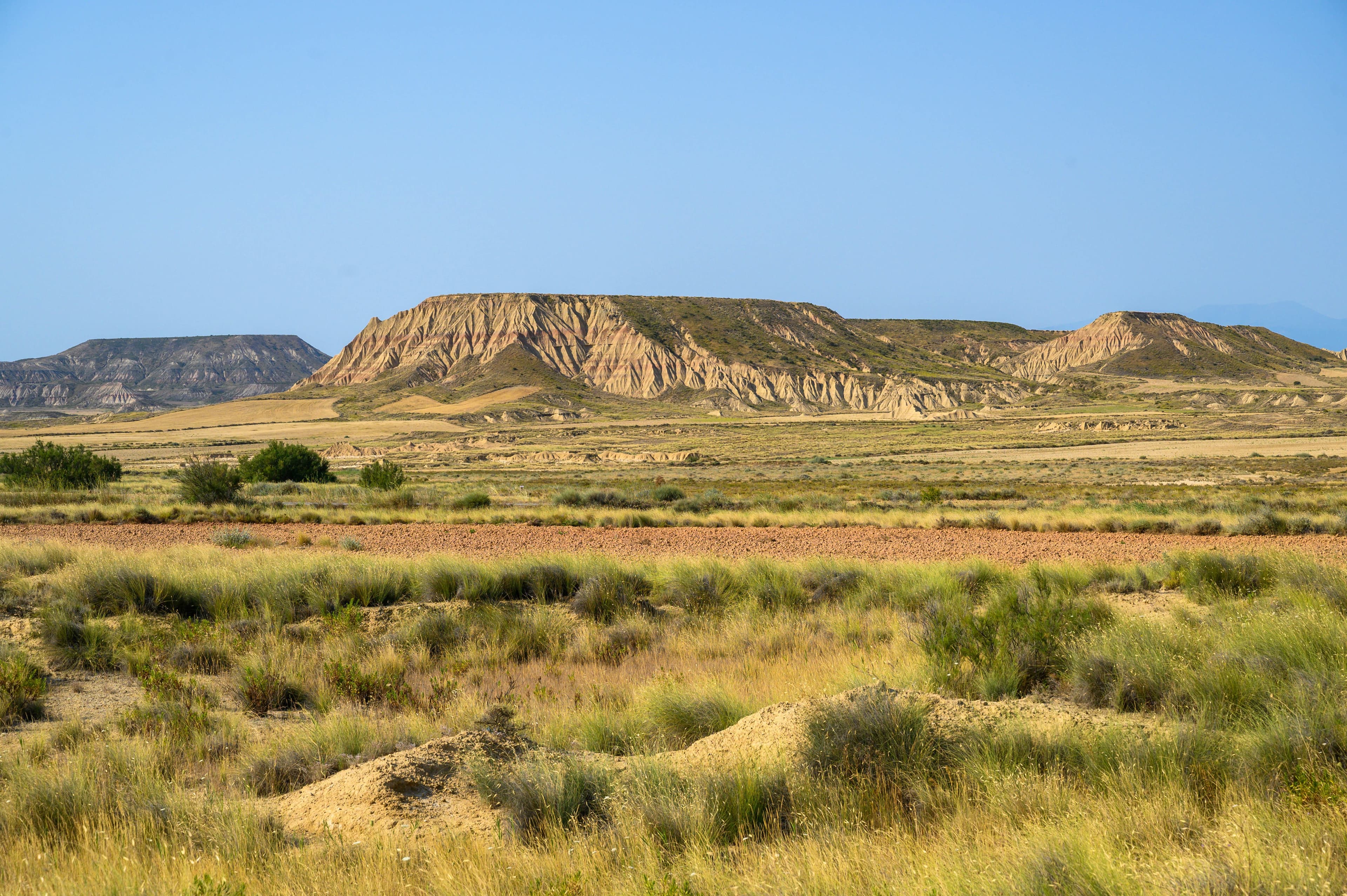 Nyika Plateau