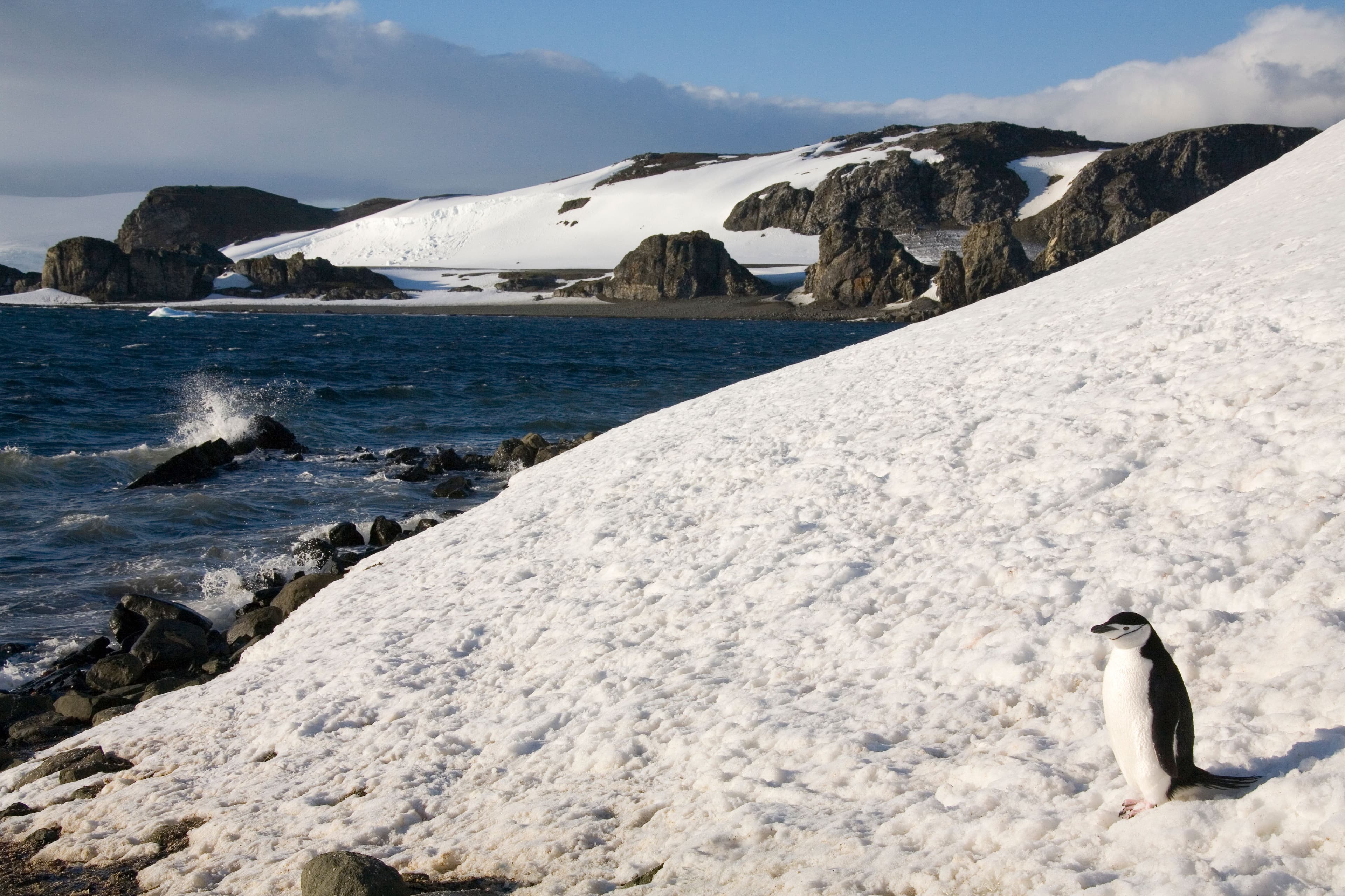The South Shetland Islands
