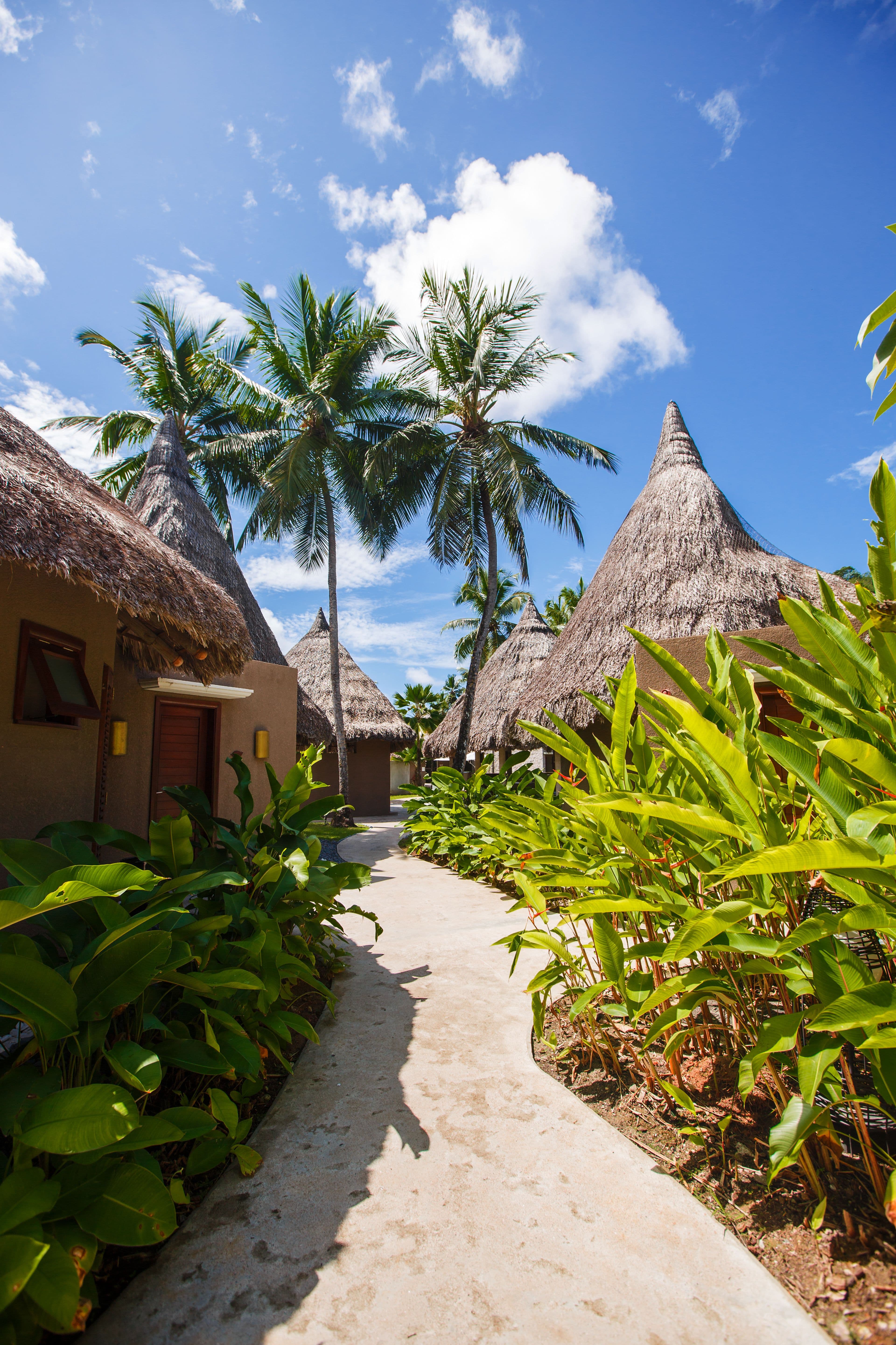 Tanzania & Zanzibar