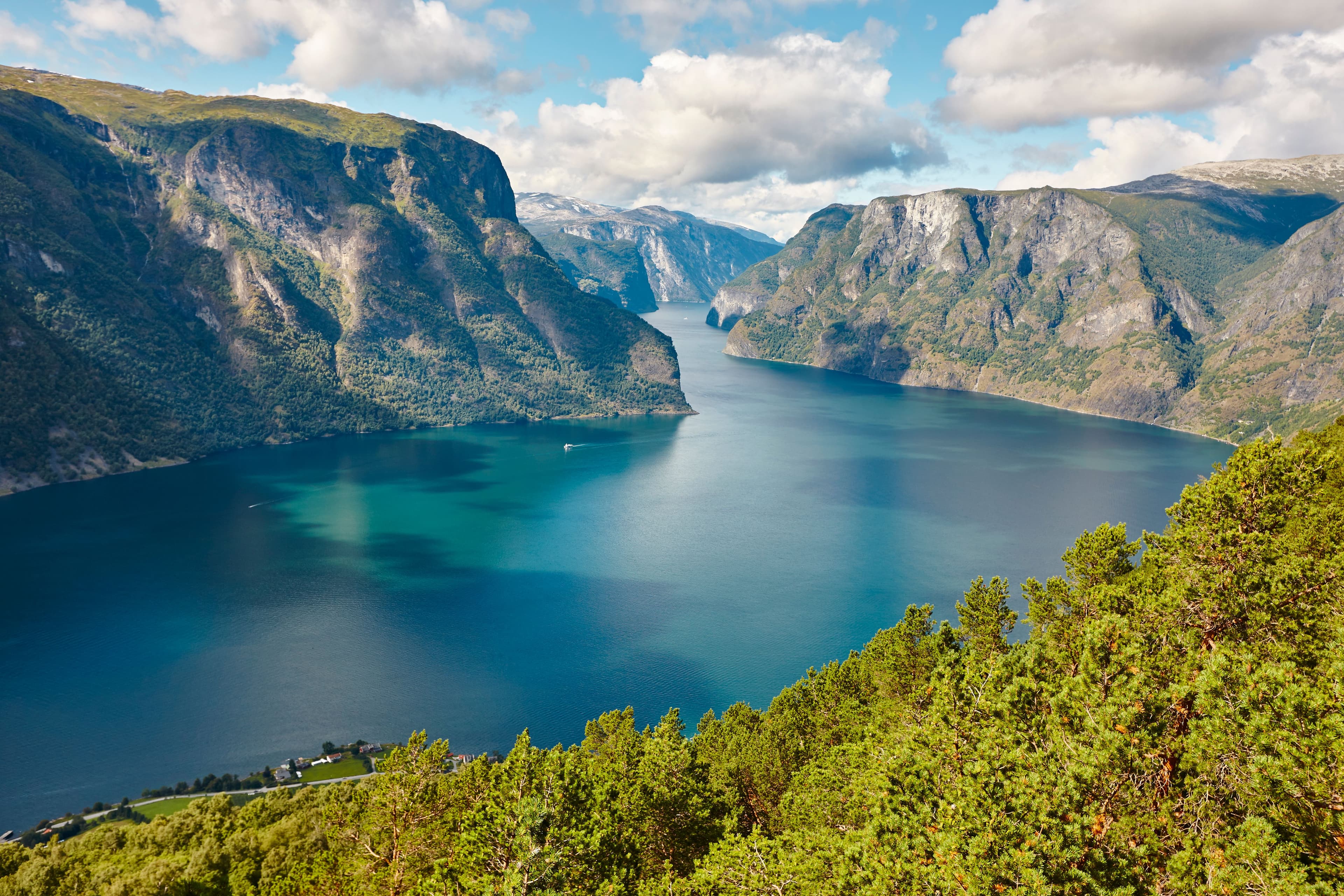 The Fjords of the South