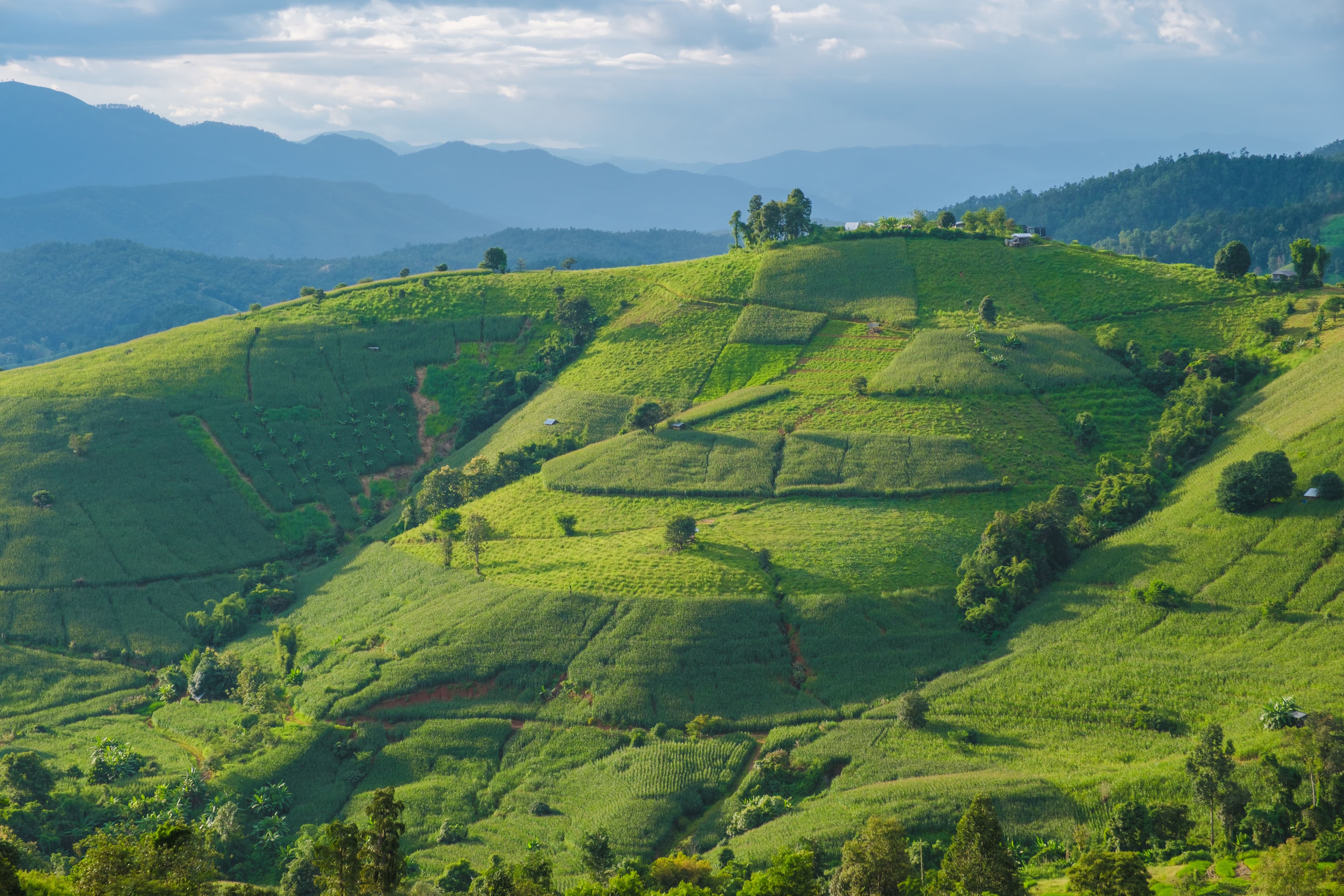The Hill Country, Sri Lanka
