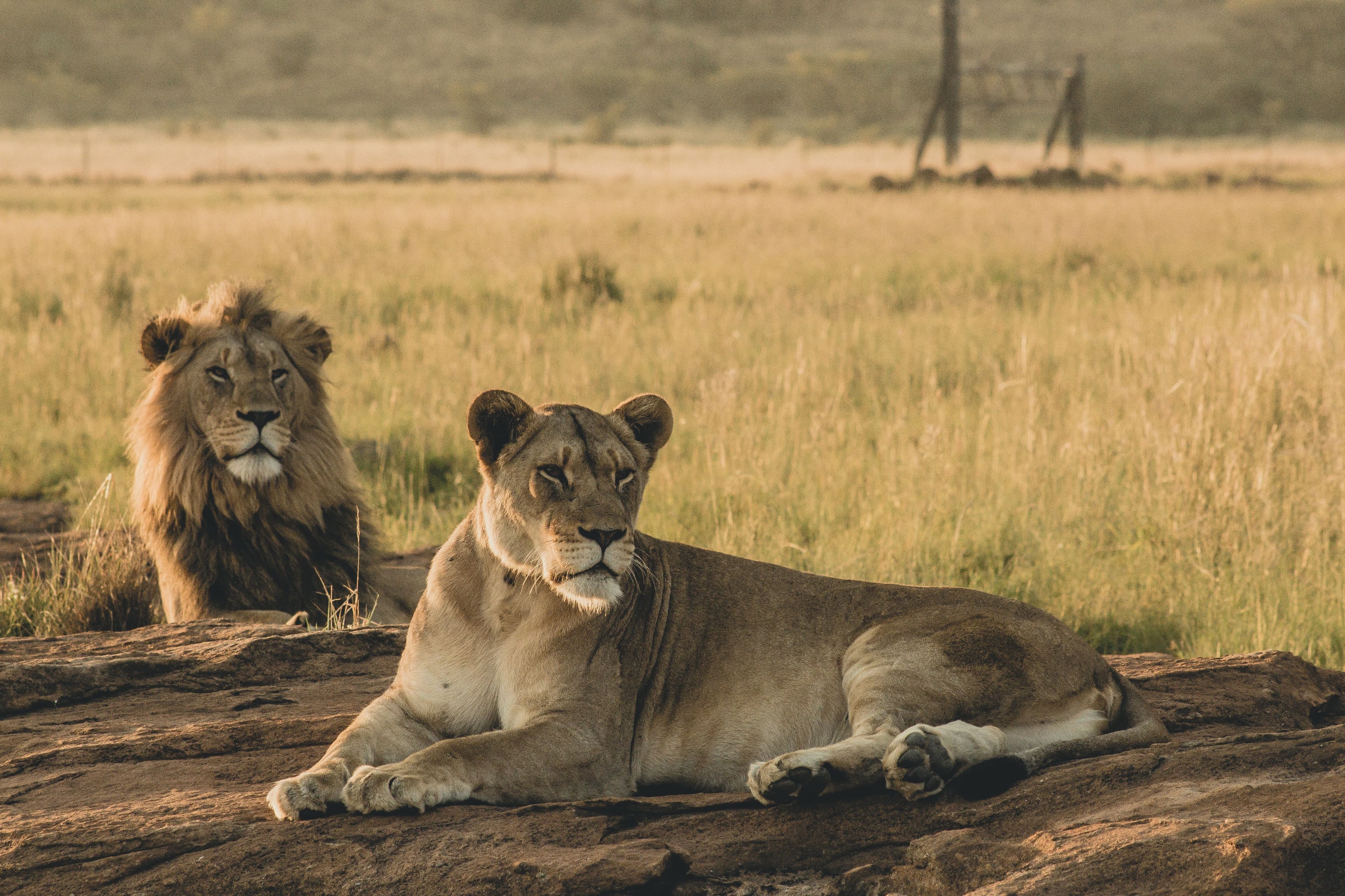 The Maasai Mara