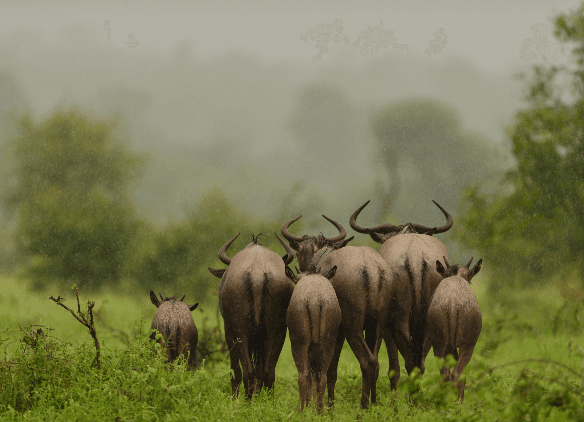 Kenya