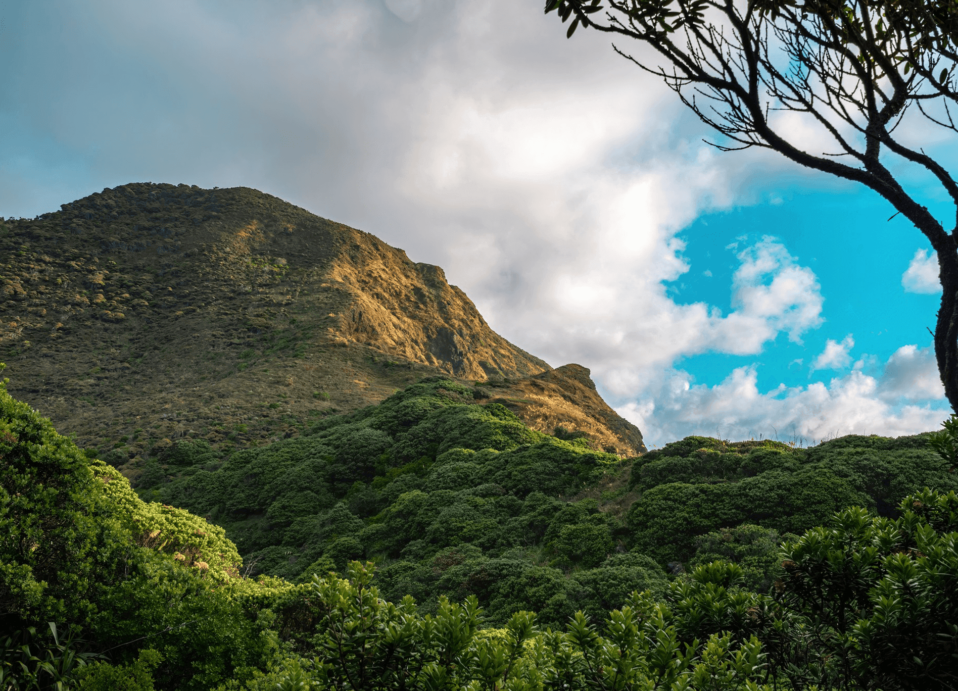 Malawi