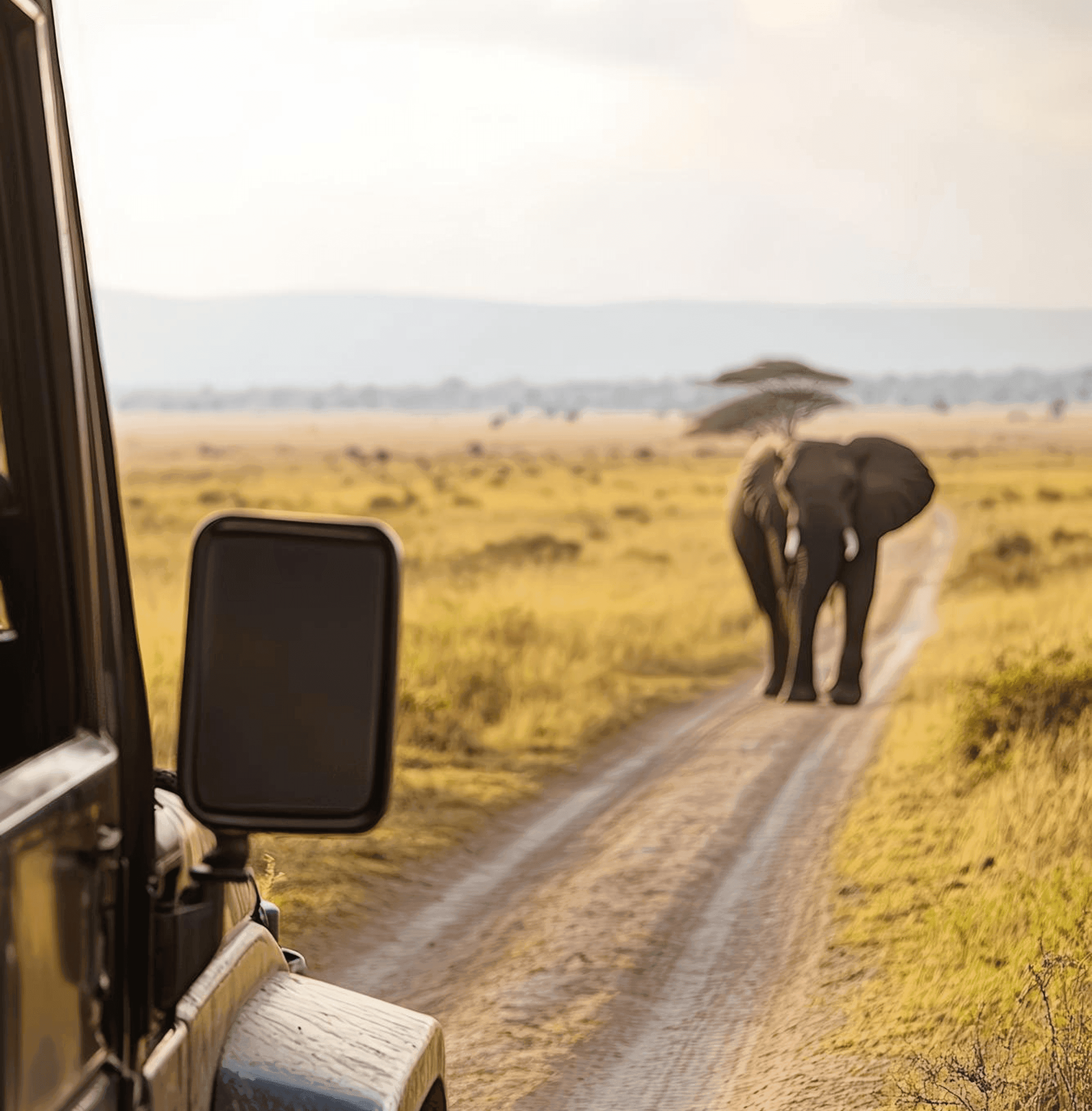 Zambia