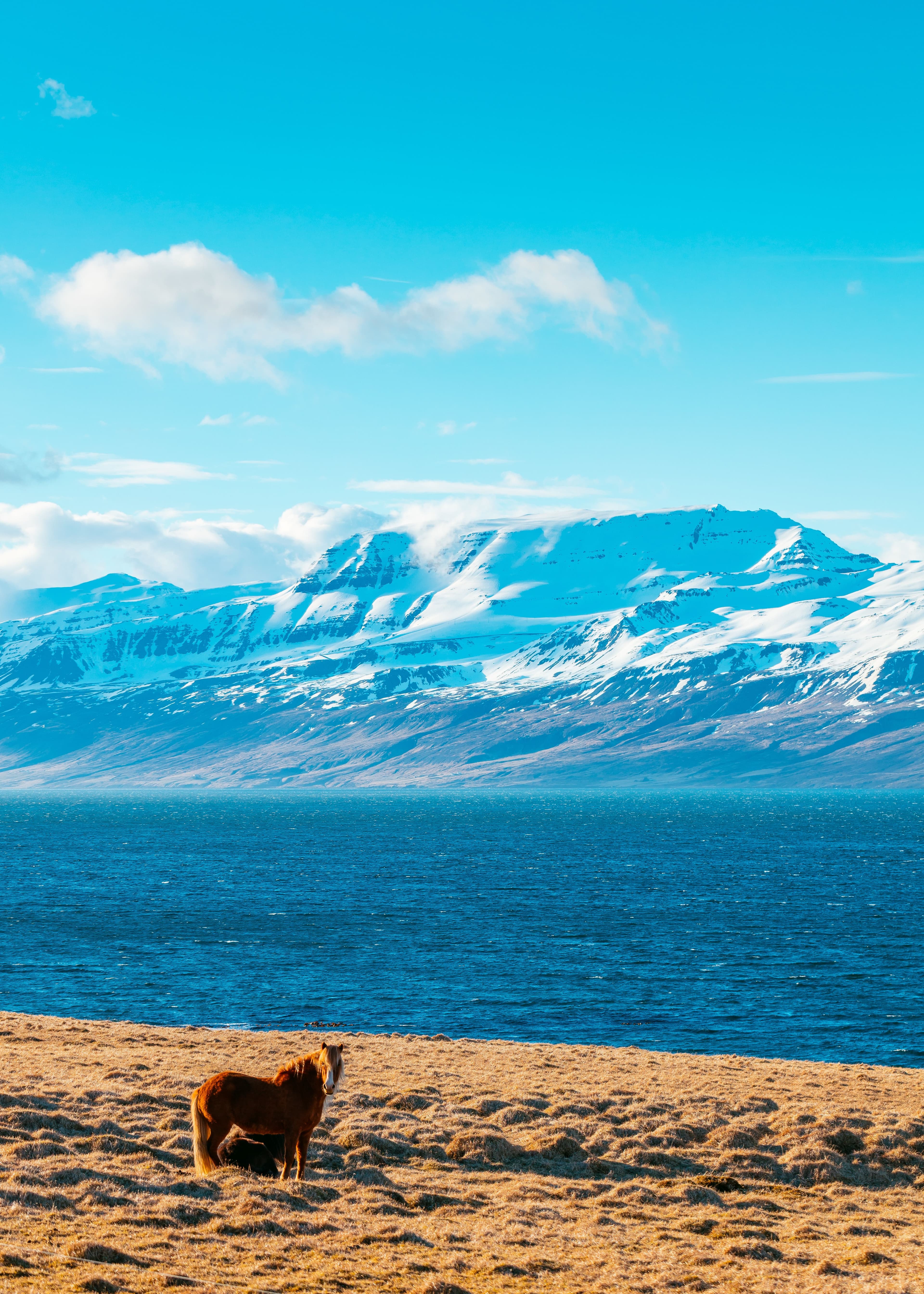 Nowhere Else Packs This Much Into One Island.