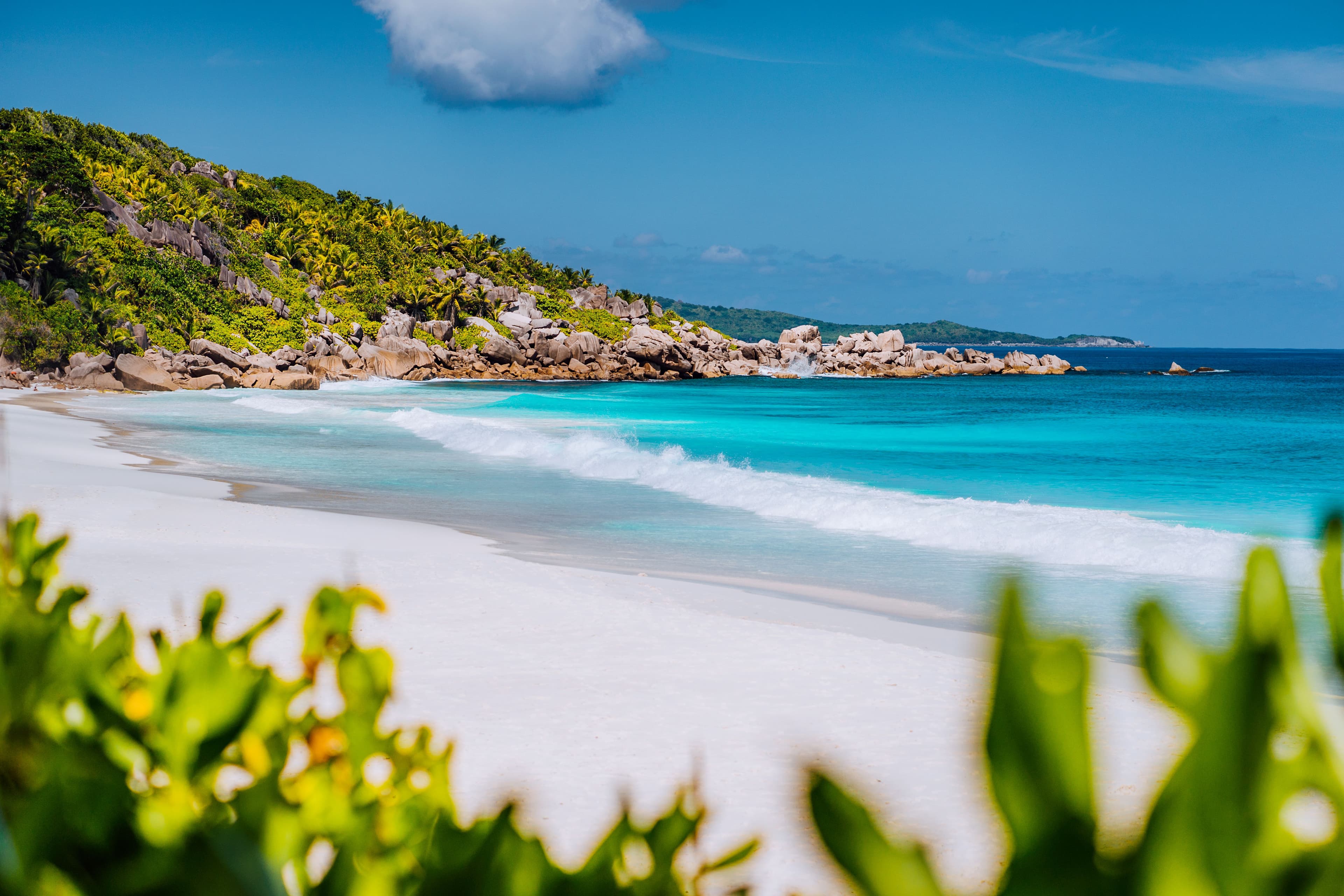 The Caribbean, With Flavour Turned Up.