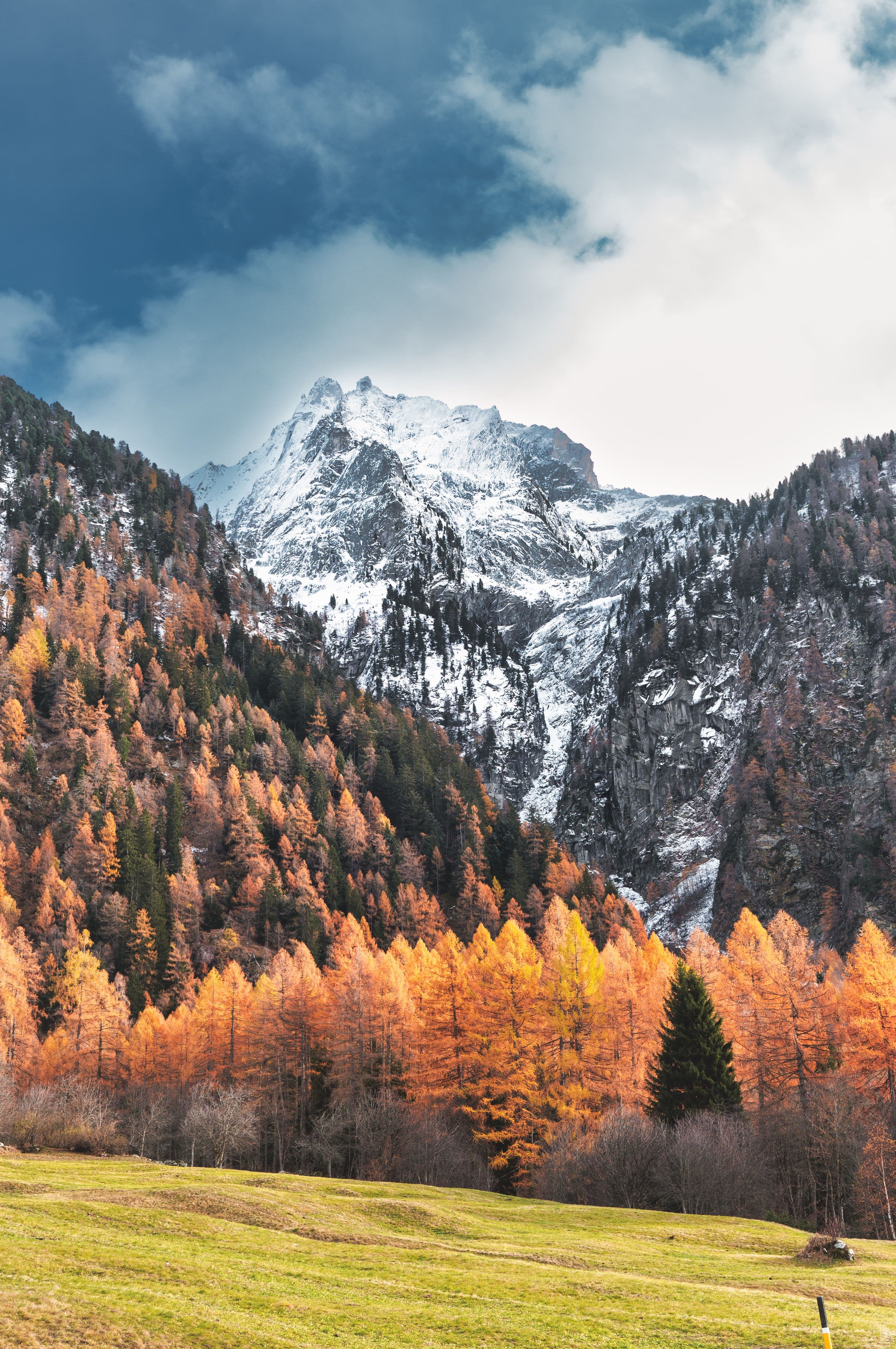 Kashmir