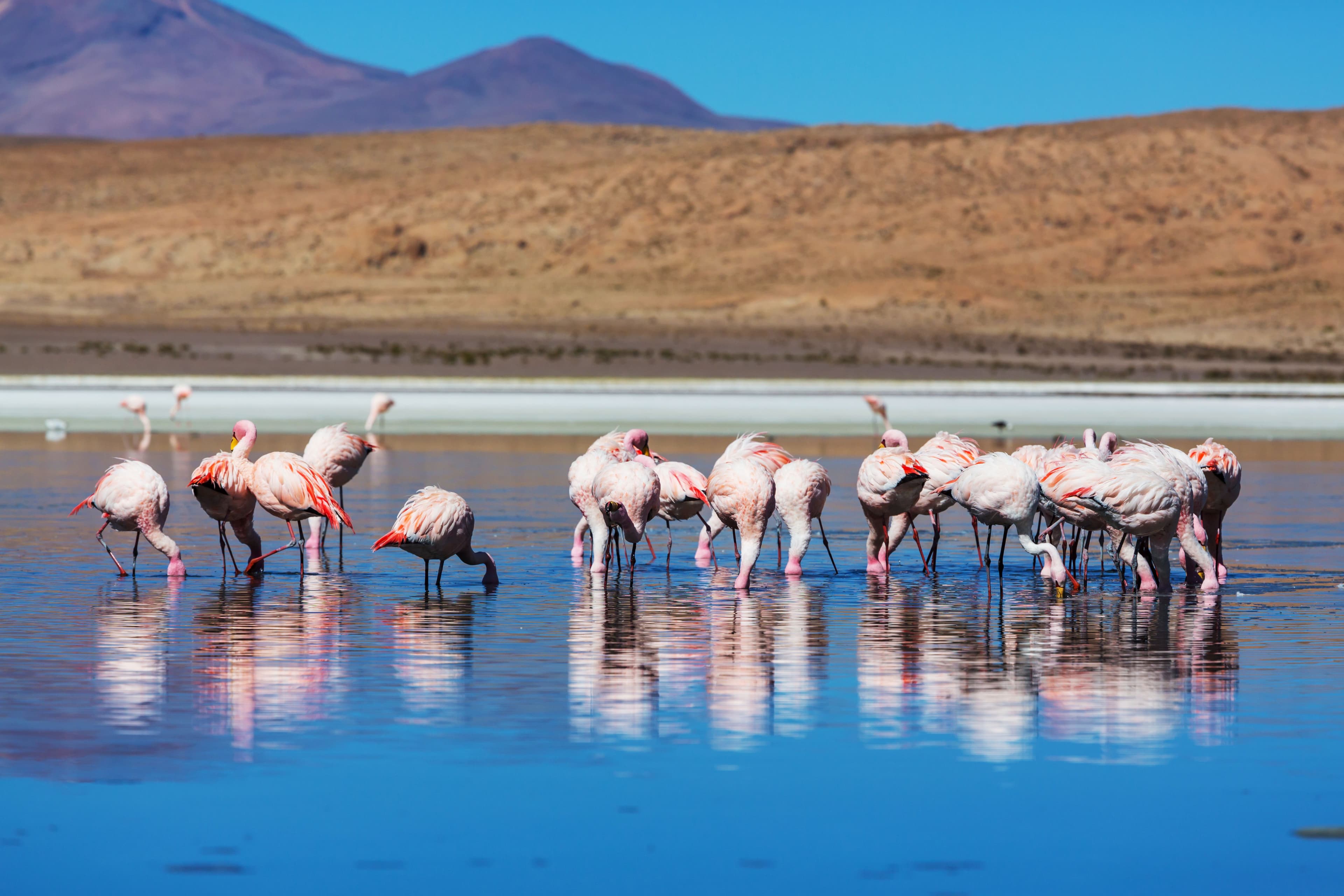 Namibia
