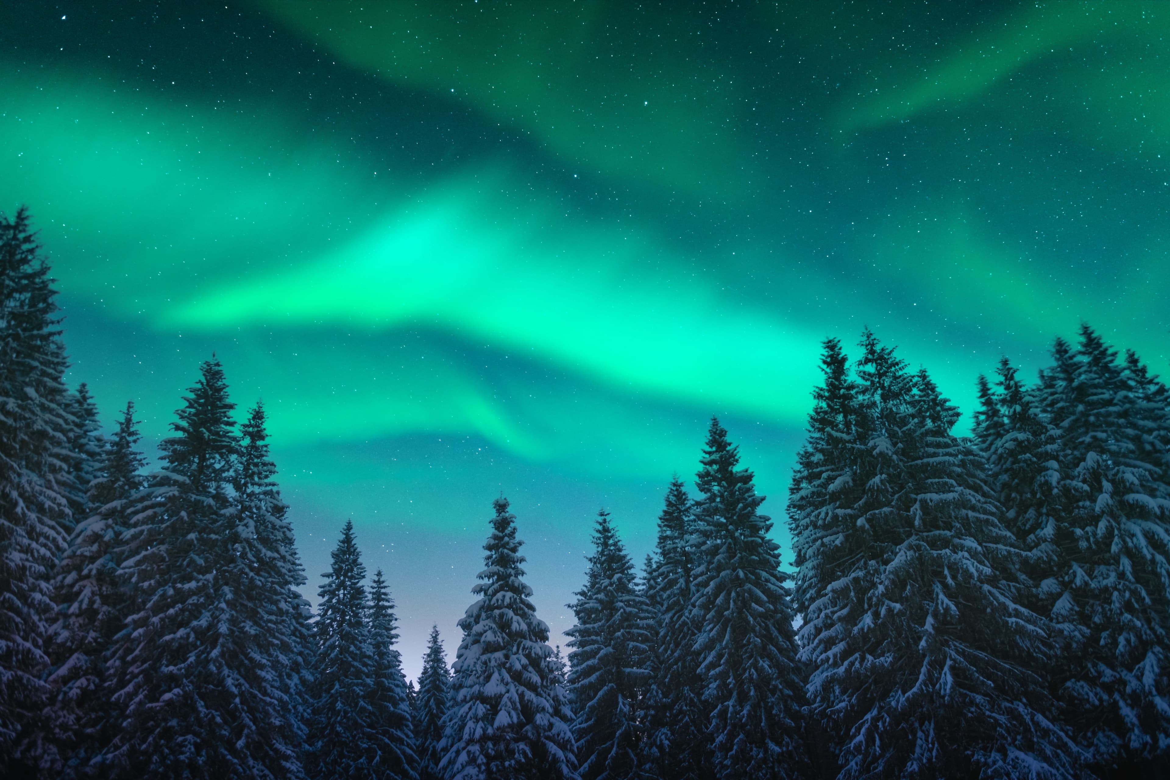 Green Fire Over a Frozen Forest