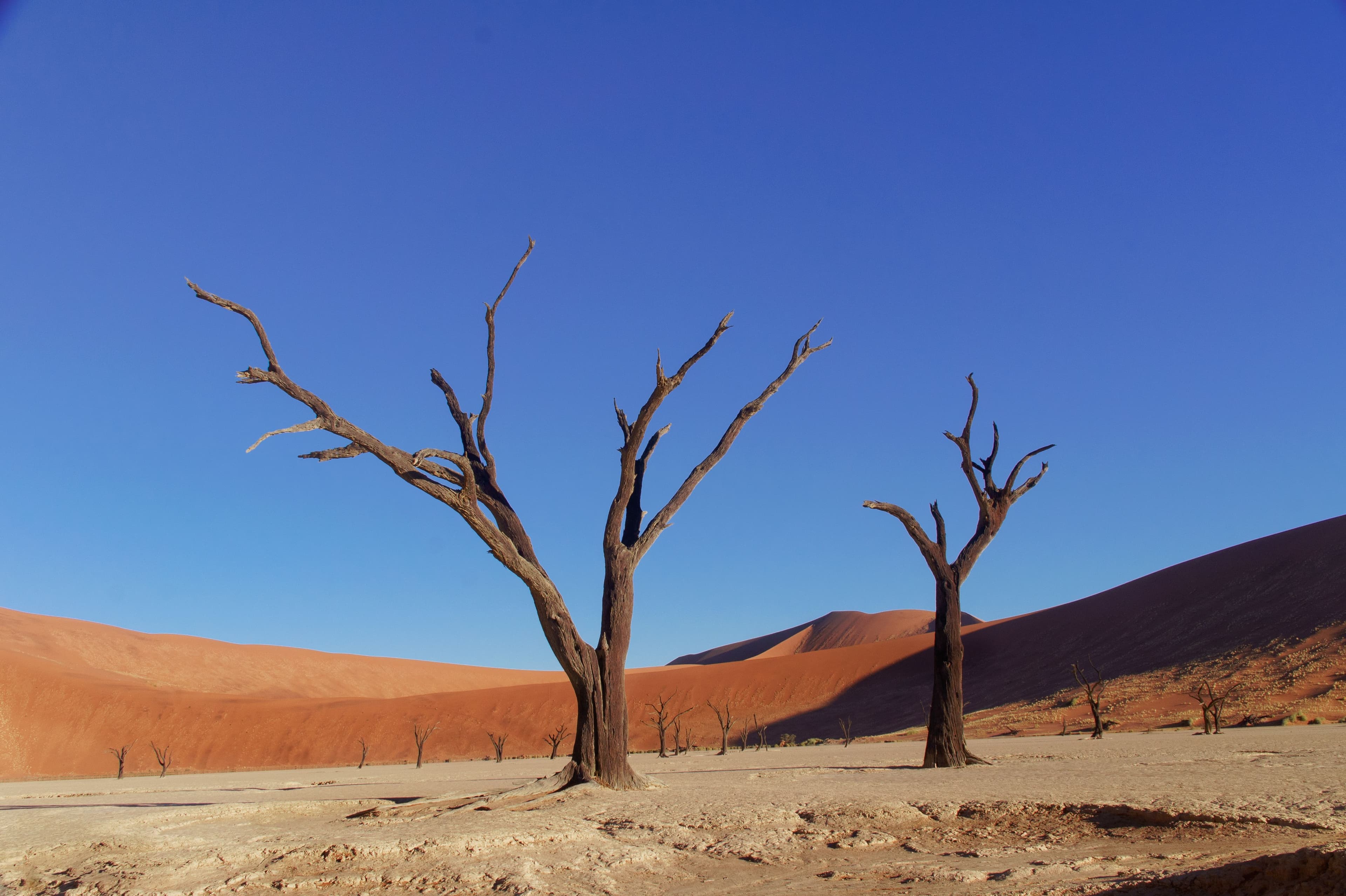 Sossusvlei