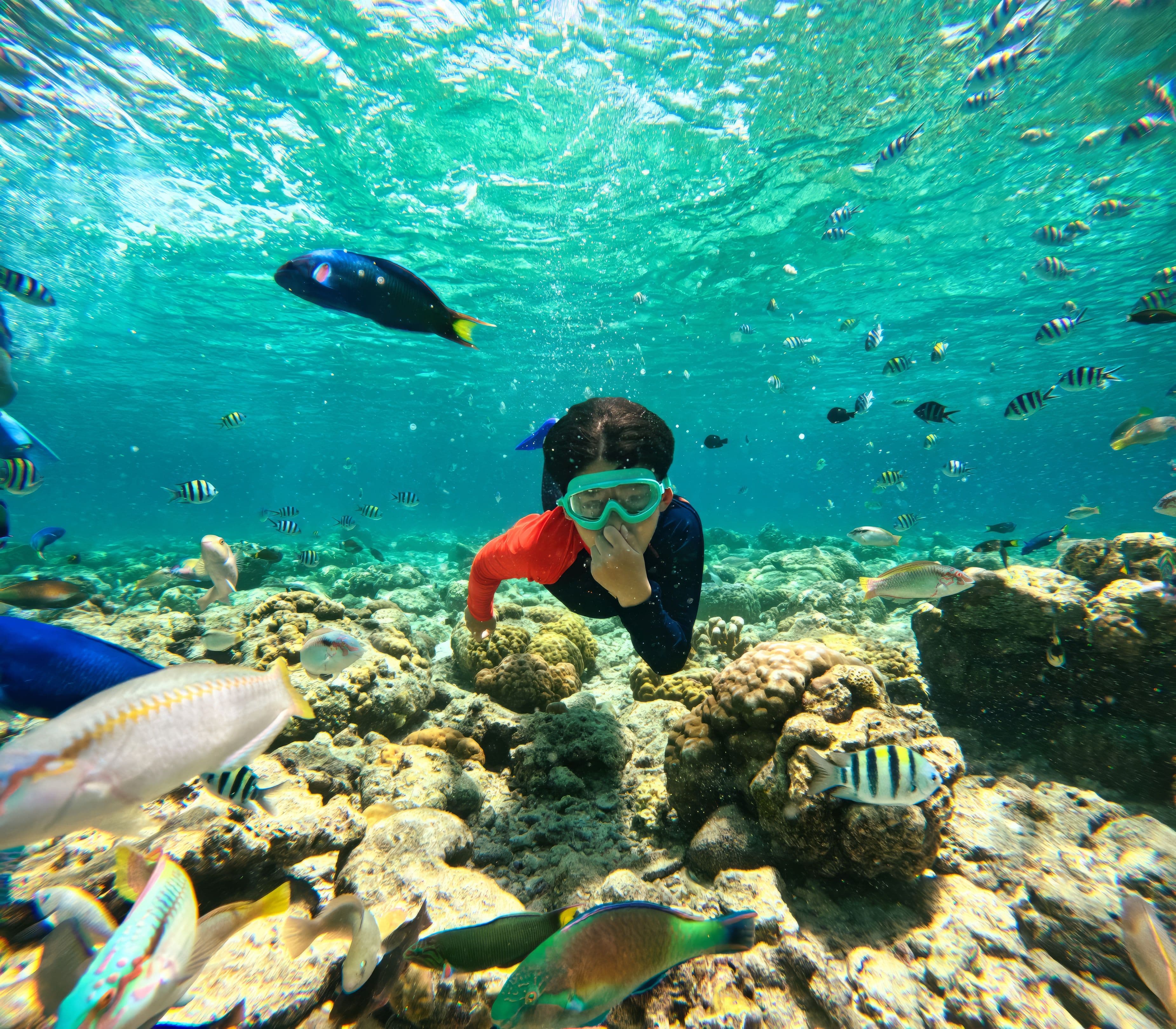 Statues That Turned Into Reef