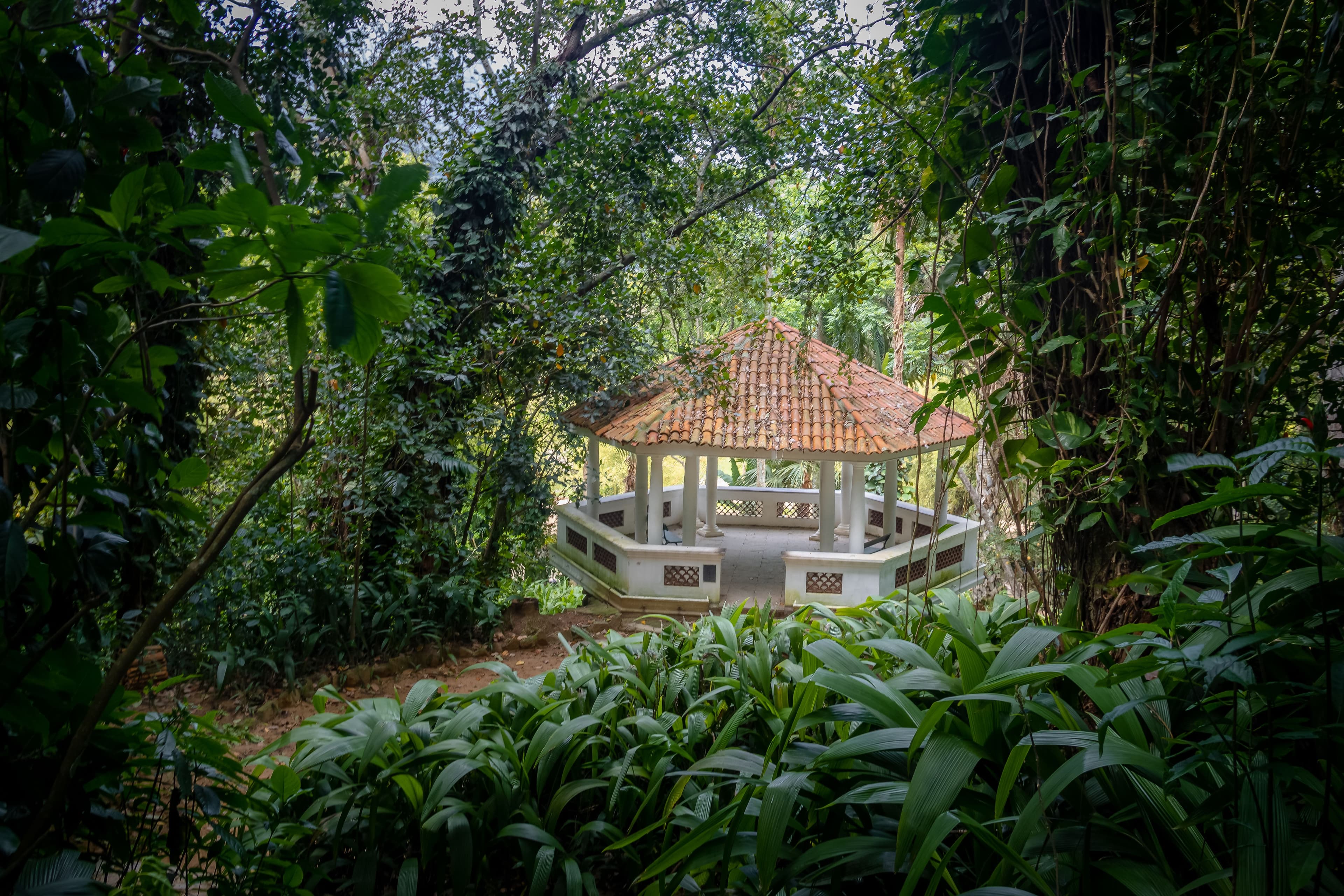 The Spice Estates and Rainforest
