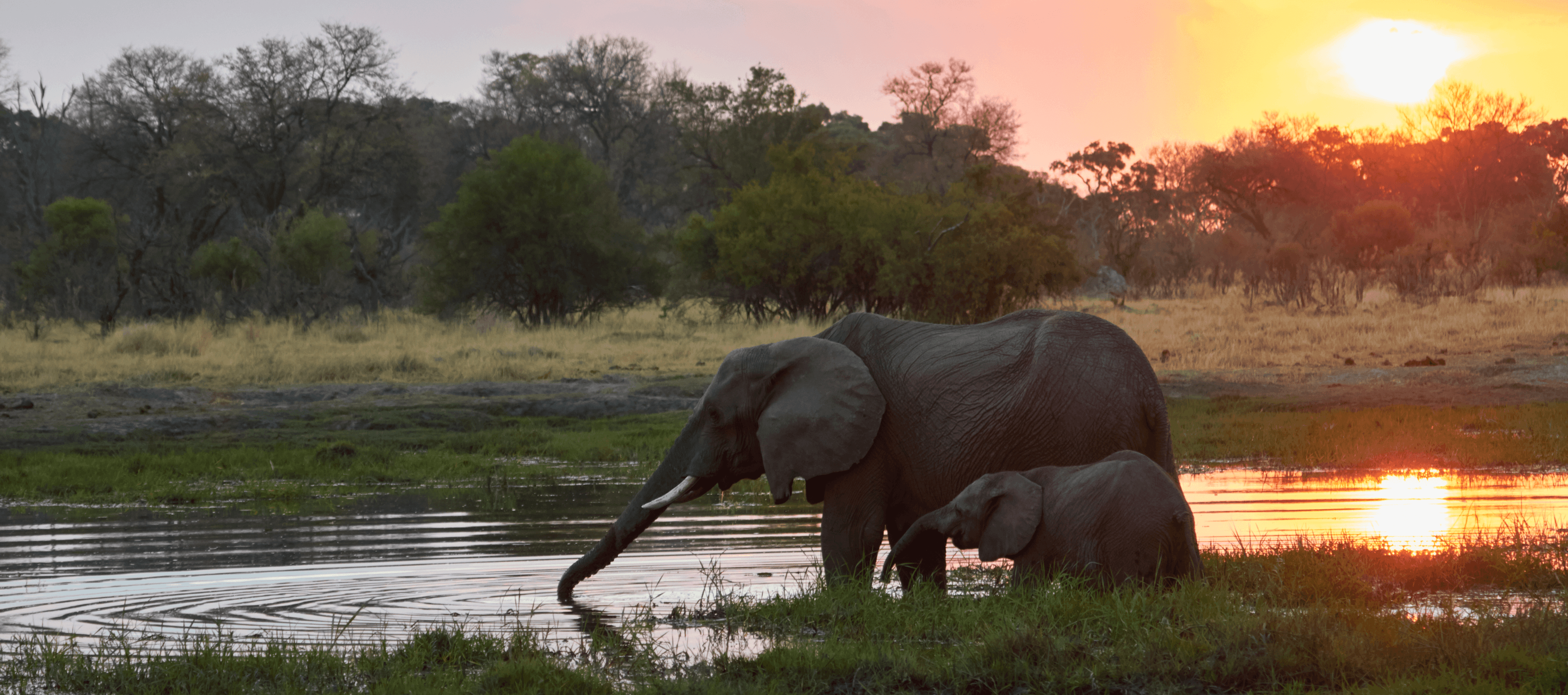 Why Travellers Choose Botswana