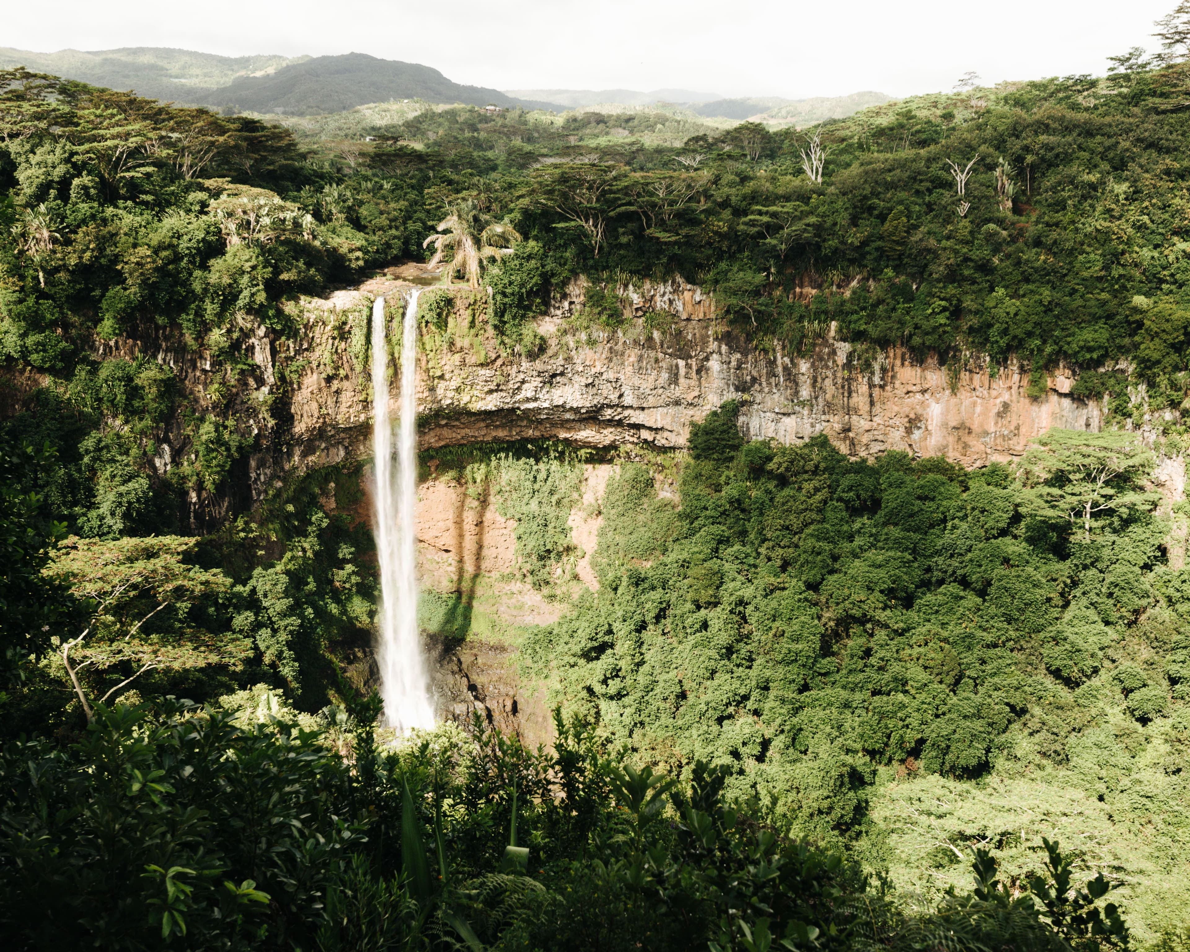 The Island Left Early, So Evolution Started Over